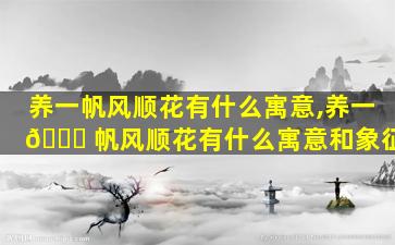 养一帆风顺花有什么寓意,养一 🐒 帆风顺花有什么寓意和象征